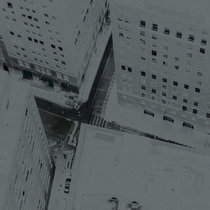 洋楽 Josh Mason The Symbiont LP The Symbiont | Josh Mason