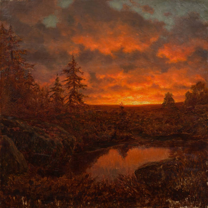 Bogs auburn hotsell