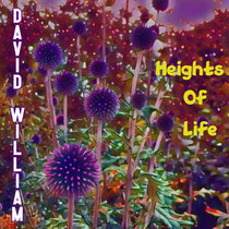 Heights Of Life cover art