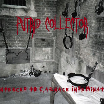 Petite rammed torture gloryhole