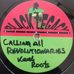 CALLING ALL REVOLUTIONARIES( this is a polyvinyl purchace)