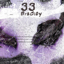 Bradley cover art
