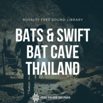 Bats and Swifts Sound Effects Tham Lod Cave Thailand cover art