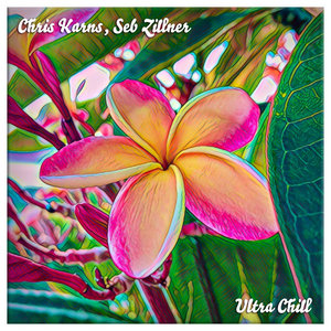 Ultra Chill (f/ Seb Zillner) cover