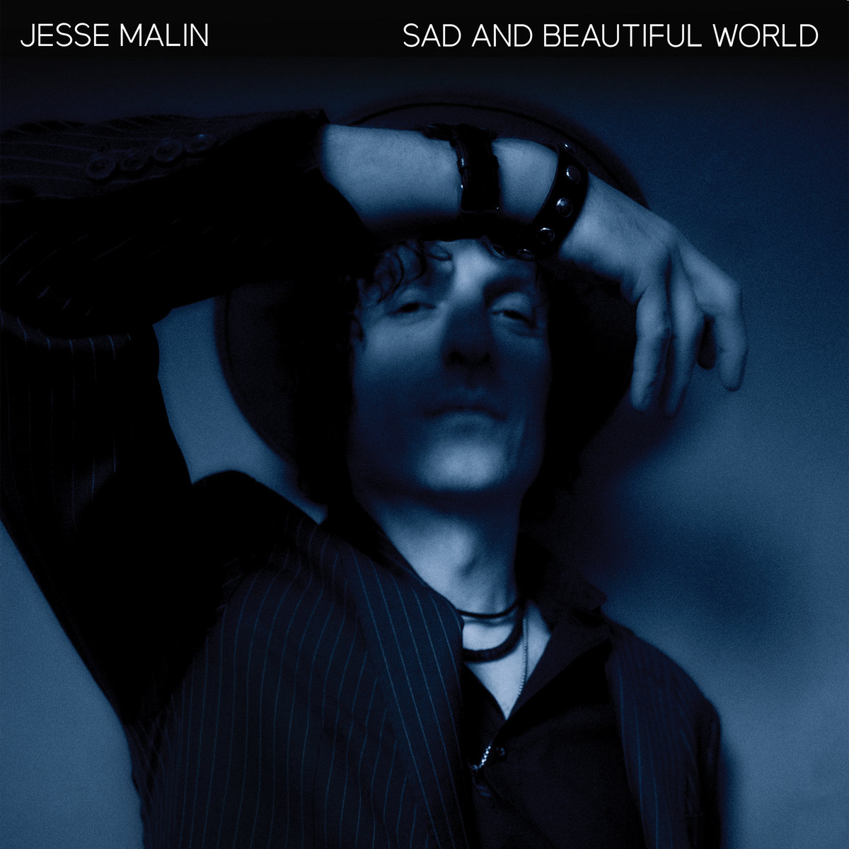 Sad And Beautiful World, Jesse Malin