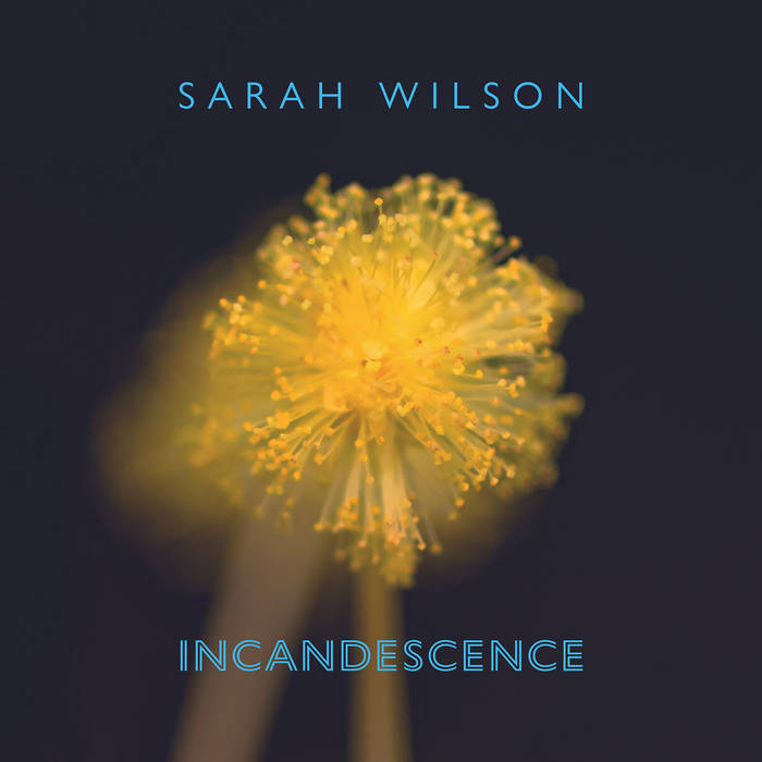 Incandescence
von Sarah Wilson