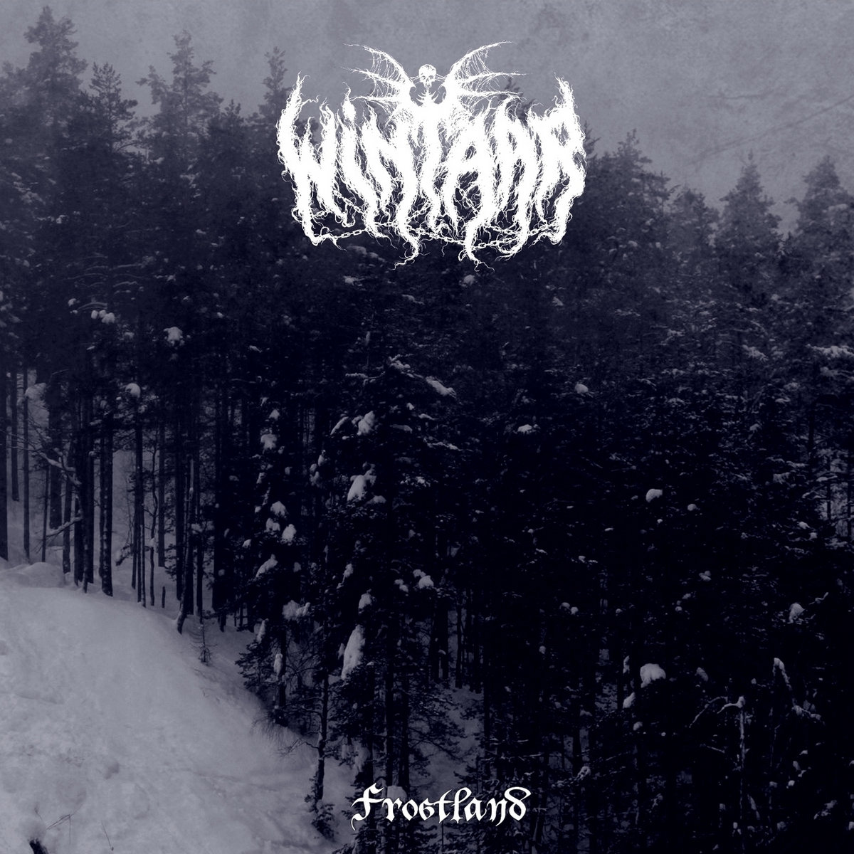 wintaar frostland russian black metal le scribe du rock