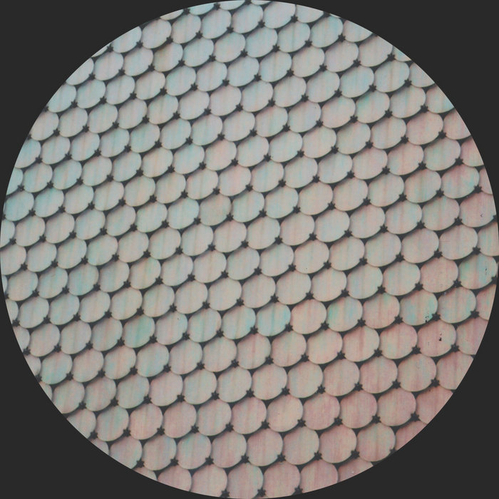 TR303 - 11xx | GoldFFInch | transitional_hq