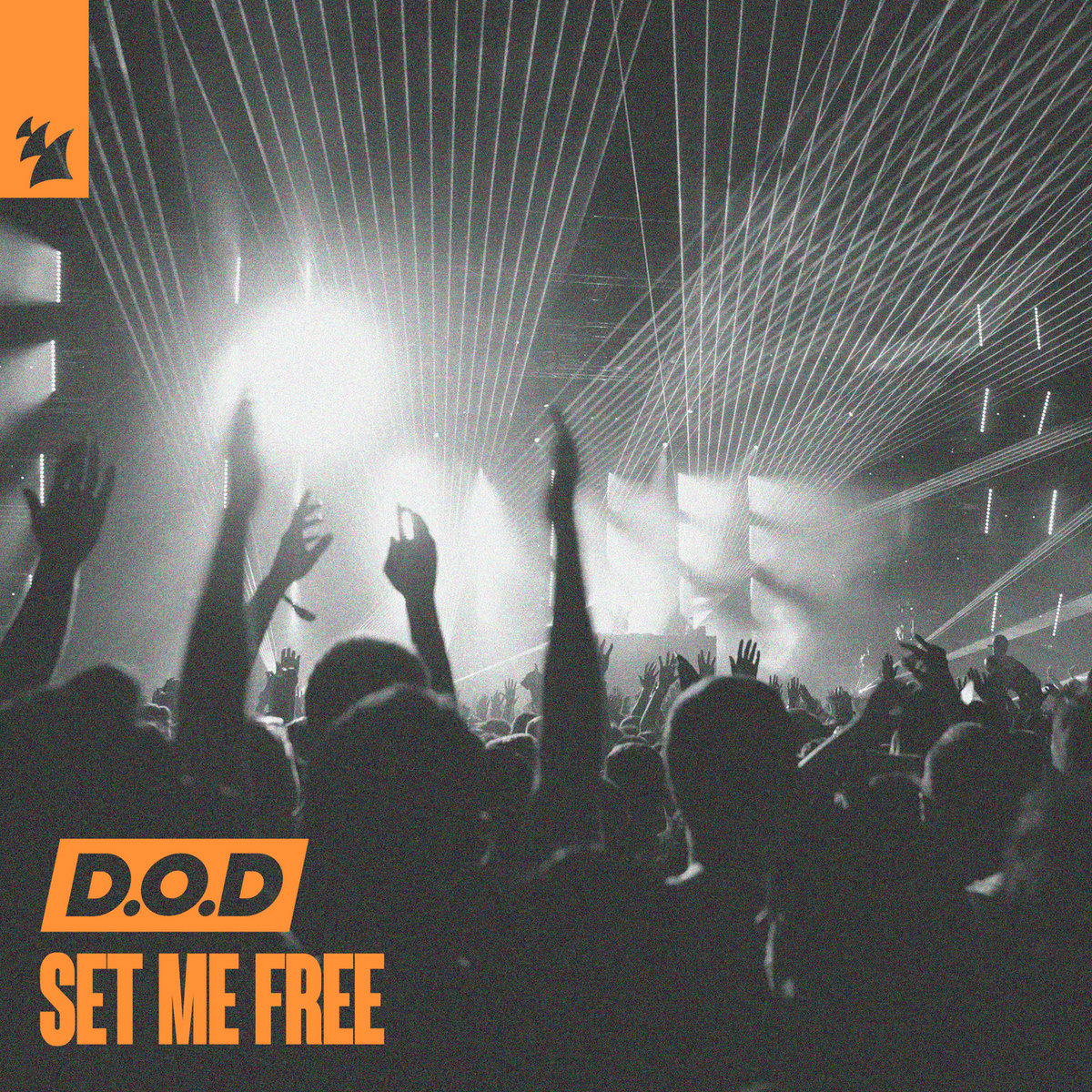Set Me Free | D.O.D