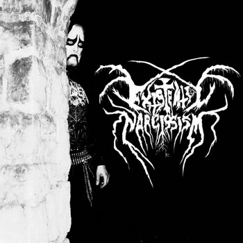 EpicAudio Narcissism ナルシシズム 14BA？ EpicAudio Narcissism 中古 240001208333｜中古通販フジヤエービック