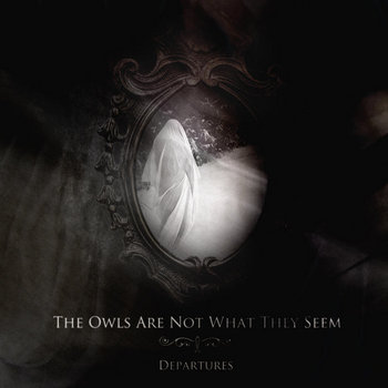 Music | The Owls Are Not What They Seem