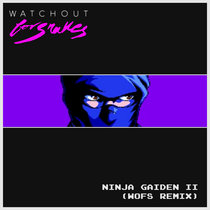Ninja Gaiden 2 (WOFS Remix) cover art