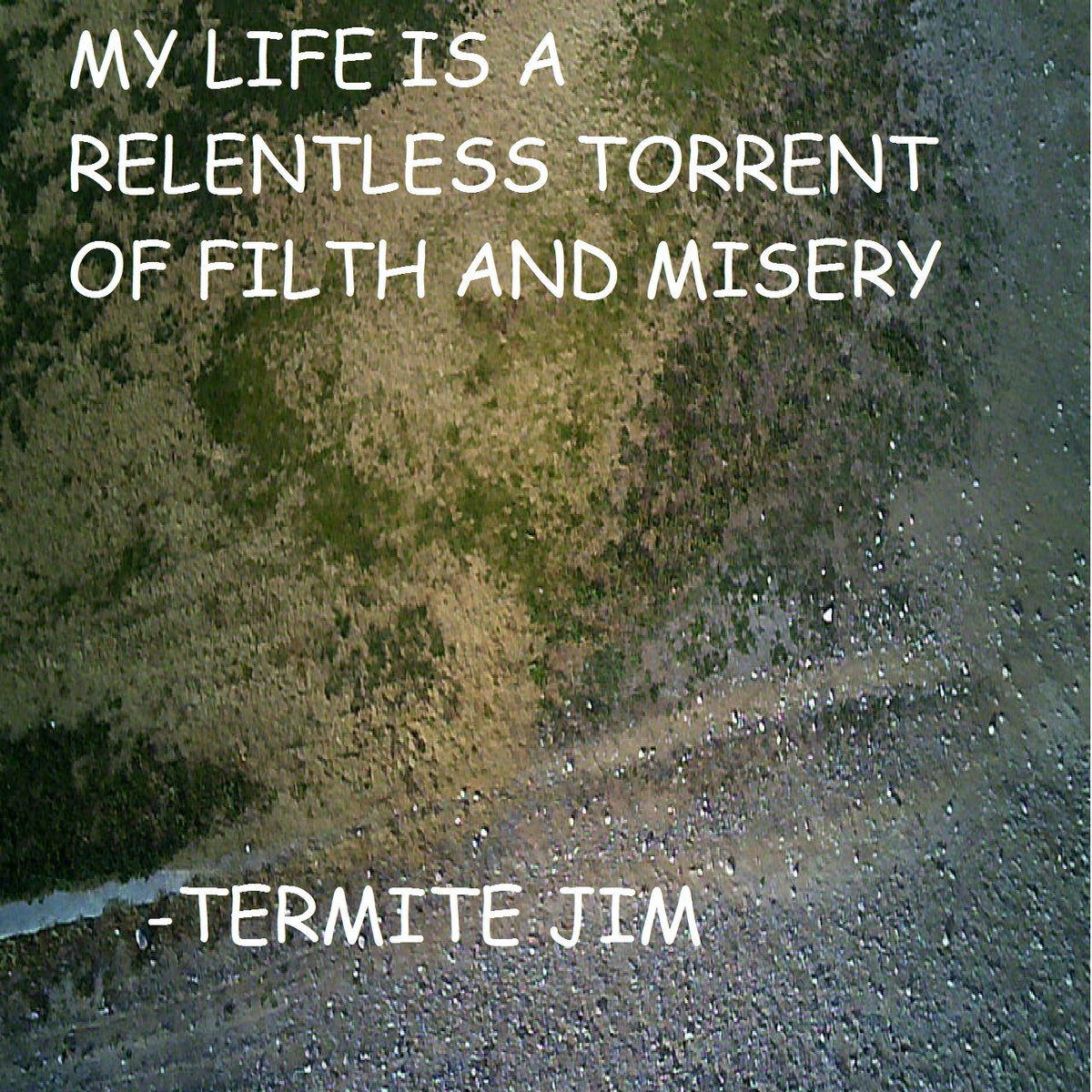 My Life is a Relentless Torrent of Filth and Misery | Termite Jim |  Time2Vape Records