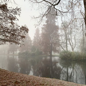On those quiet days cover