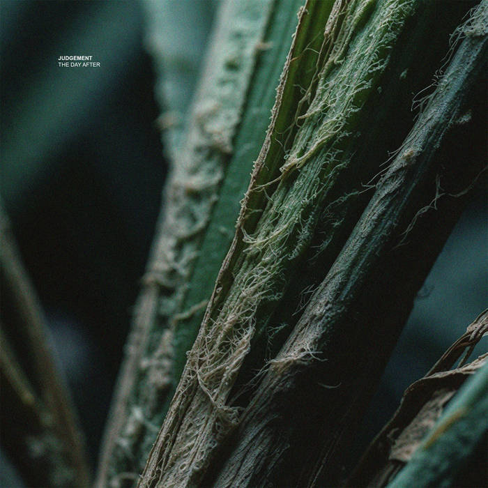 empty spaces | Xelima Records