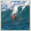 surf