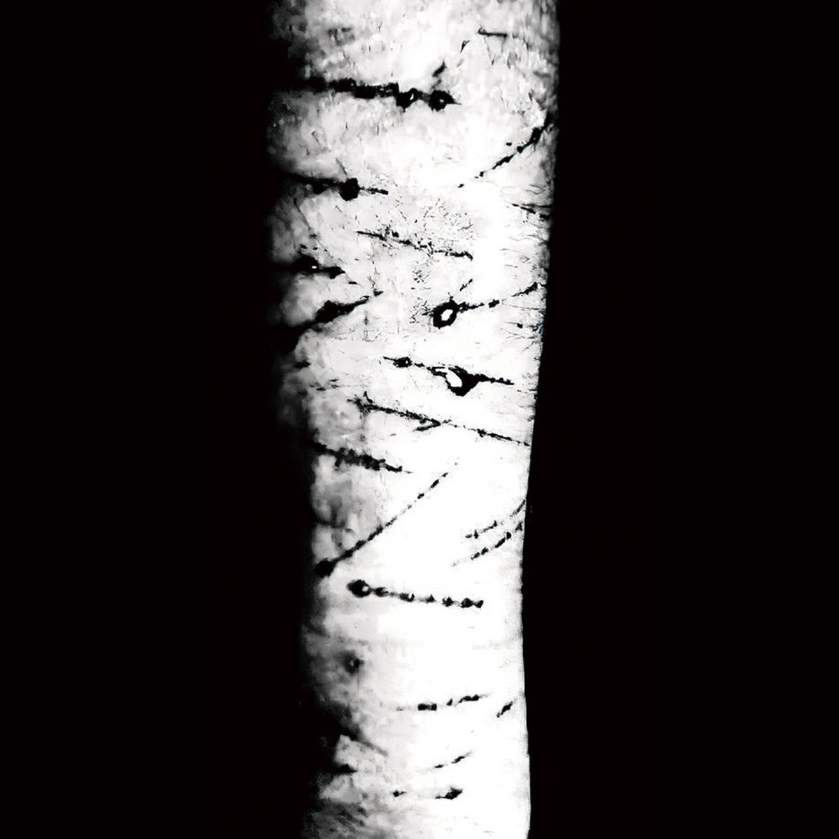 a0637483662_10.jpg