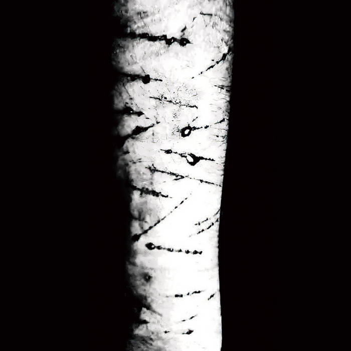 Vestige | WANDERER | Pest Productions