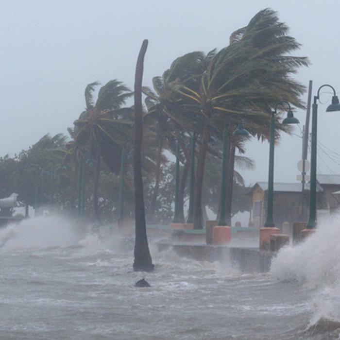 Blowin' A Gale The Prolly Boys