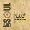 Wait For You feat. Carla Prather