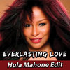 Everlasting Love (Hula Mahone Remix)