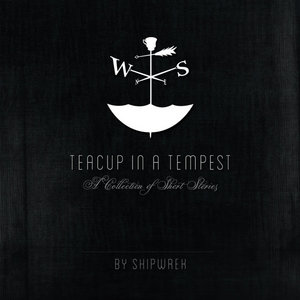 Ship Wrek — Teacup in a Tempest