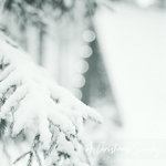 A Christmas Sunday