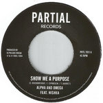 Show Me A Purpose / To Overstand Dub