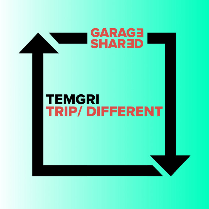 trip-different-temgri-garage-shared
