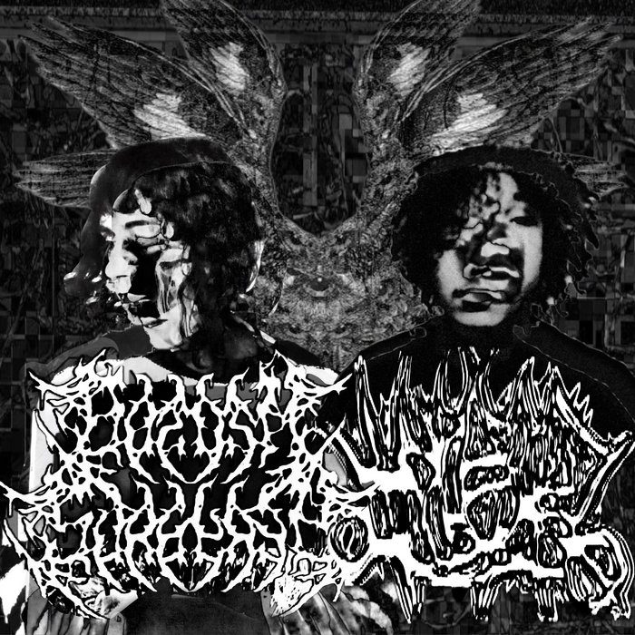 Split | bottom surgery x VULGAR | bottom surgery