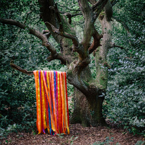 The Animal SpiritsJames Holden & The Animal Spirits cover