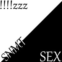 !!!!zzz/SEX cover art