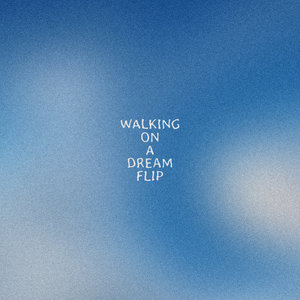 walking on a dream_flip cover