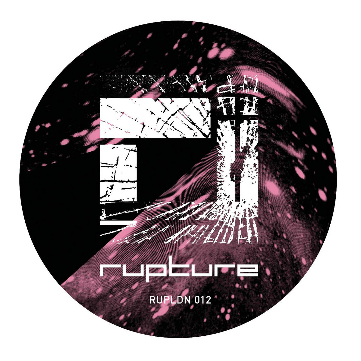 ■[廃盤] NATURE LIVING x FACT スプリットアルバムCD □[廃盤] NATURE LIVING x FACT スプリットアルバムCD Fact, Nature