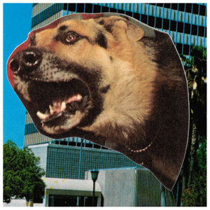 assorted demos cover