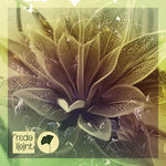 Bakean, Tebra - Outra Vez (DiMO (BG) Remix)