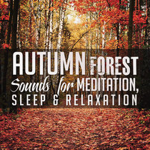 Autumn Forest Sounds for Meditation, Sleep & Relaxation cover art