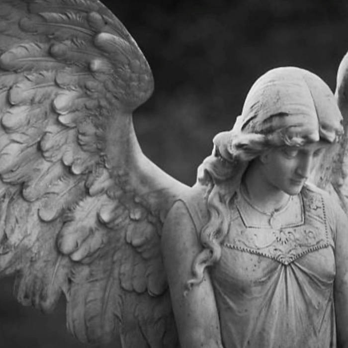 Angel Band Steven Anderson