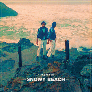 James Wavey Snowy Beach cover
