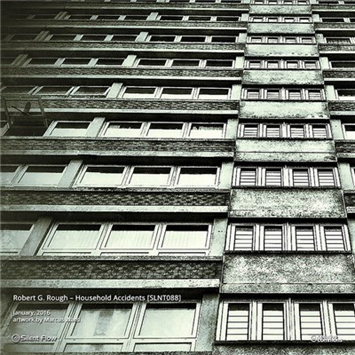 Household Accidents | Robert G. Rough