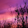 sunset of my life