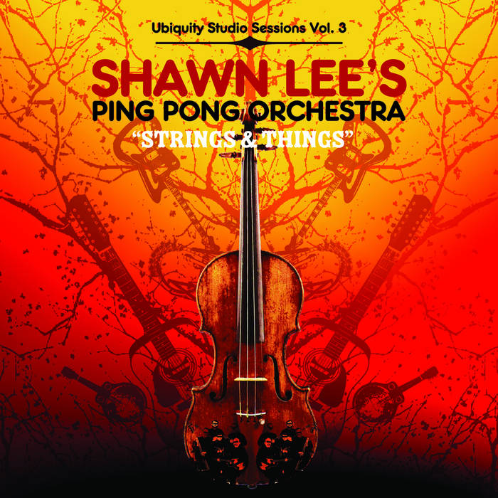 Shawn Lee's Incredible Tabla Band 2枚組 Strings And Things | Shawn Lee's Ping Pong Orchestra | Shawn Lee