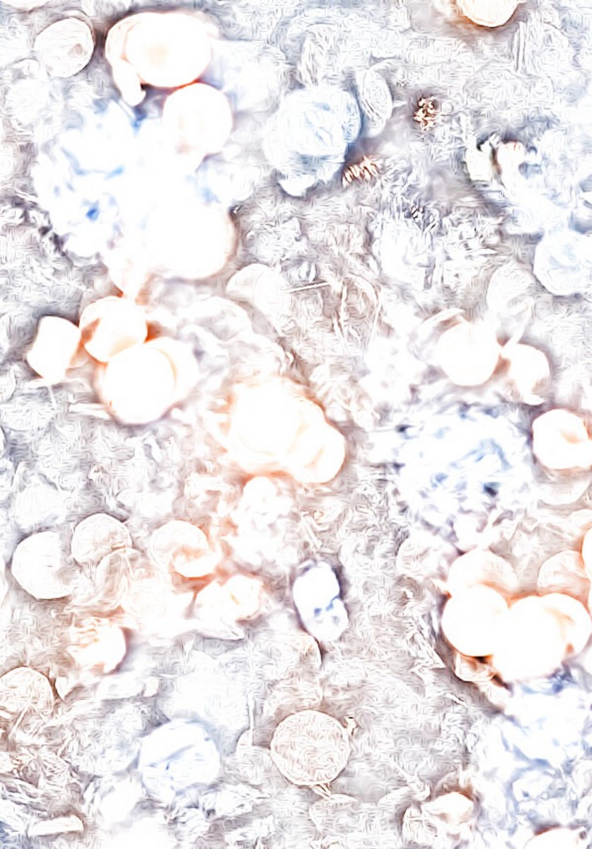 The Mirror Depends on Light Glass Kingdoms