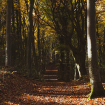 The Illusion of Endings & Beginnings cover art