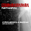 Chumbawamba - Tubthumping (E. Persueder & A. Mazzali Bootleg Regroove)