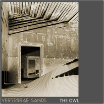 #122 - Vertebrae Sands cover art