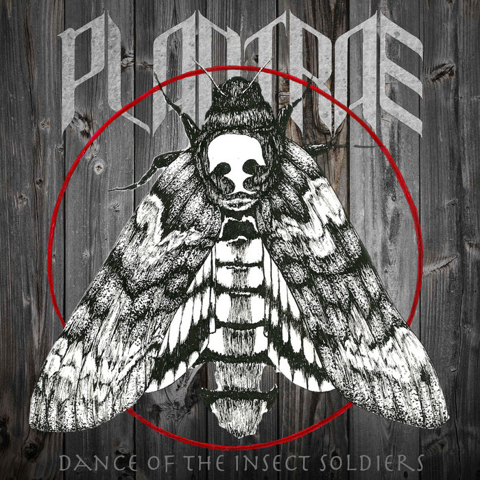 Dance Of The Insect Soldiers | PLANTRAE