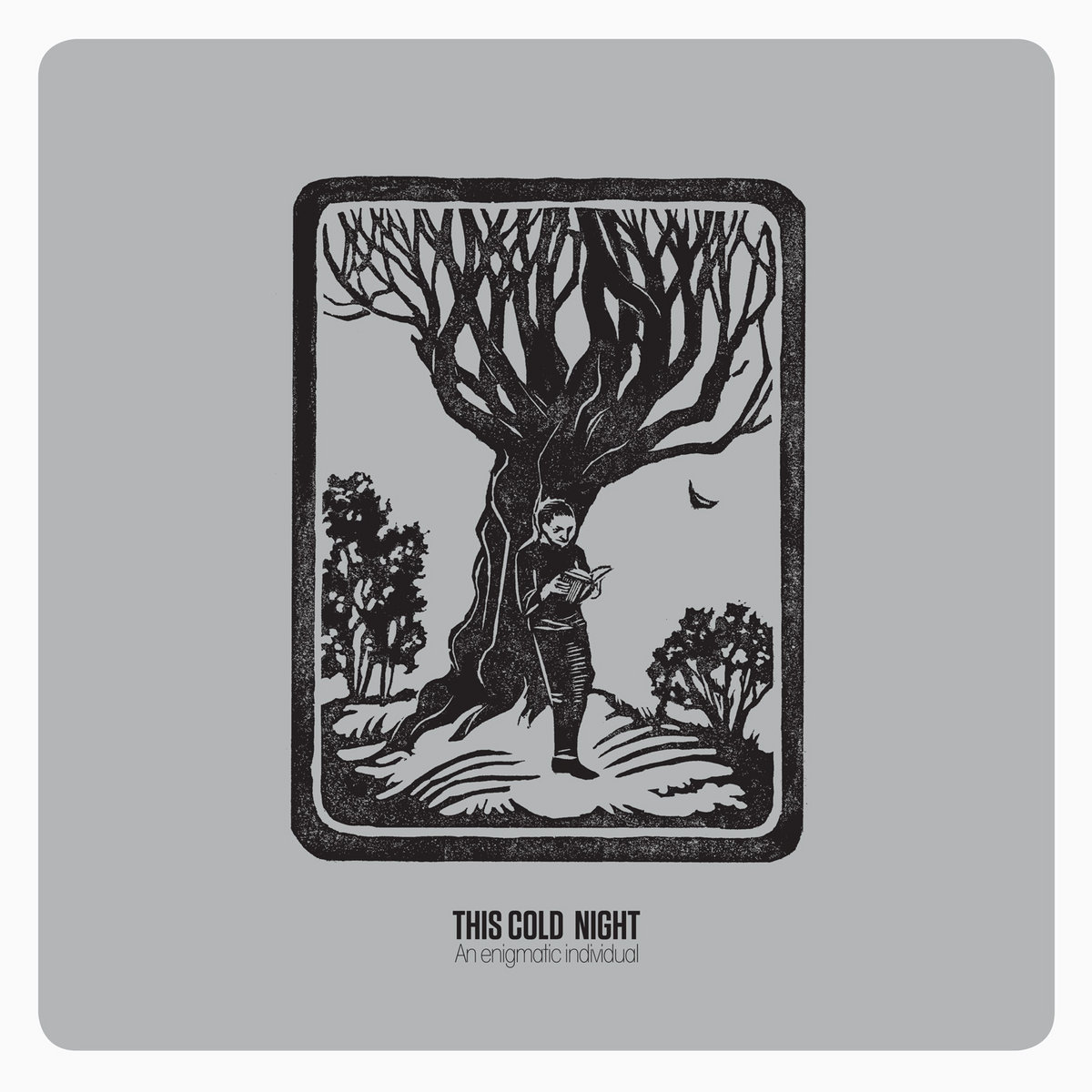 An Enigmatic Individual / DW013 | This Cold Night | Dead Wax Records