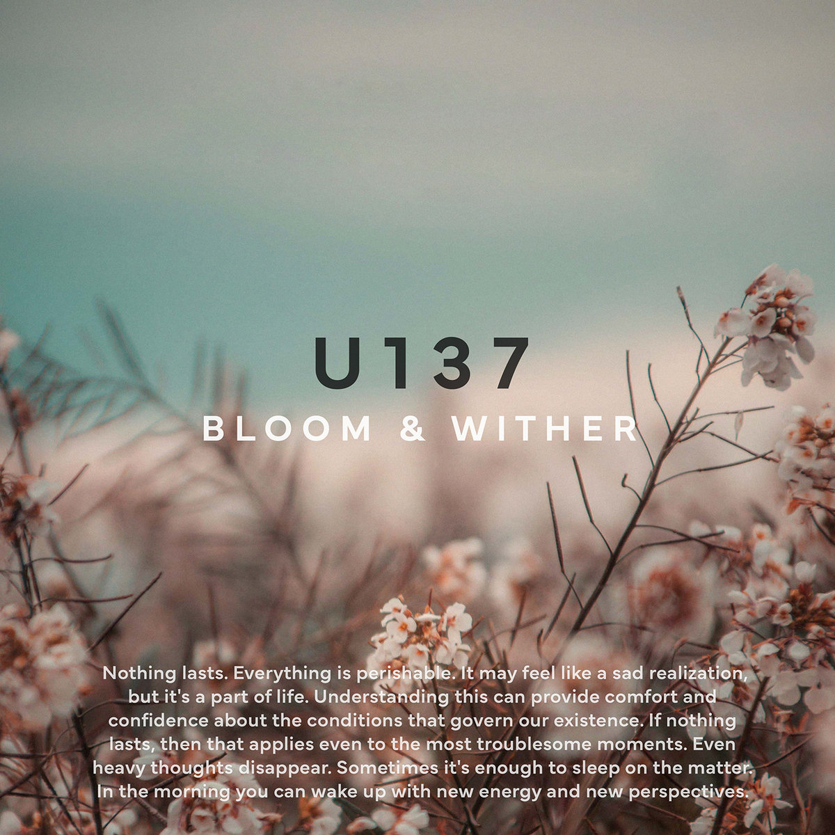 Bloom & Wither | U137 | Deep Elm Records