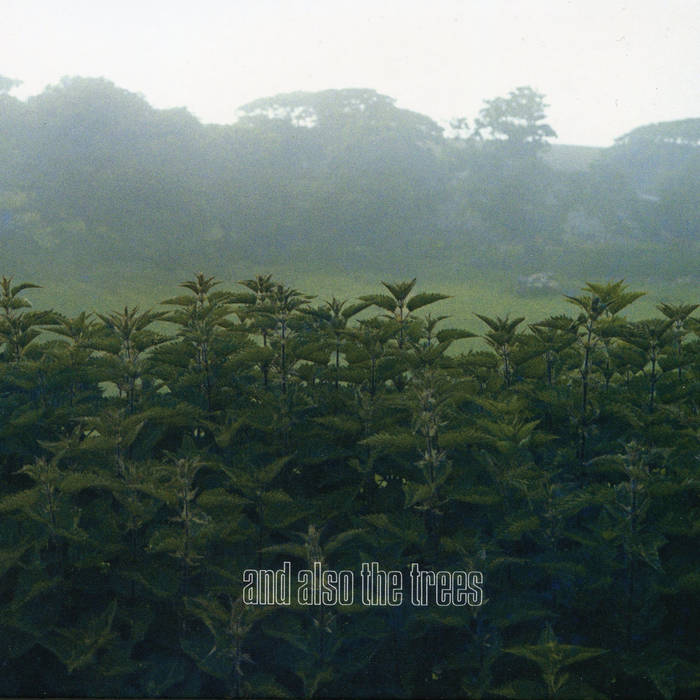 and also the trees | And Also The Trees